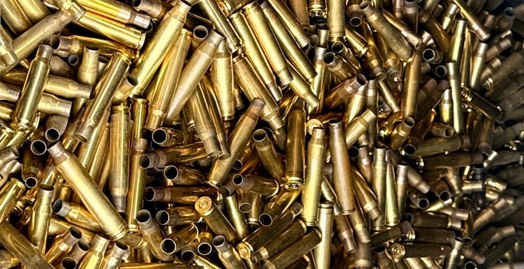 Odabir kalibra i zrna za noćni lov lisice i čaglja