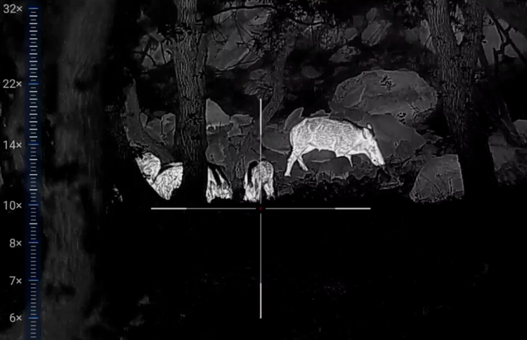 Divljač nema šansu