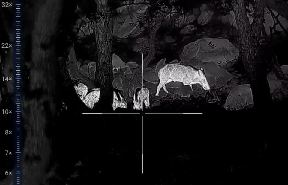 Divljač nema šansu